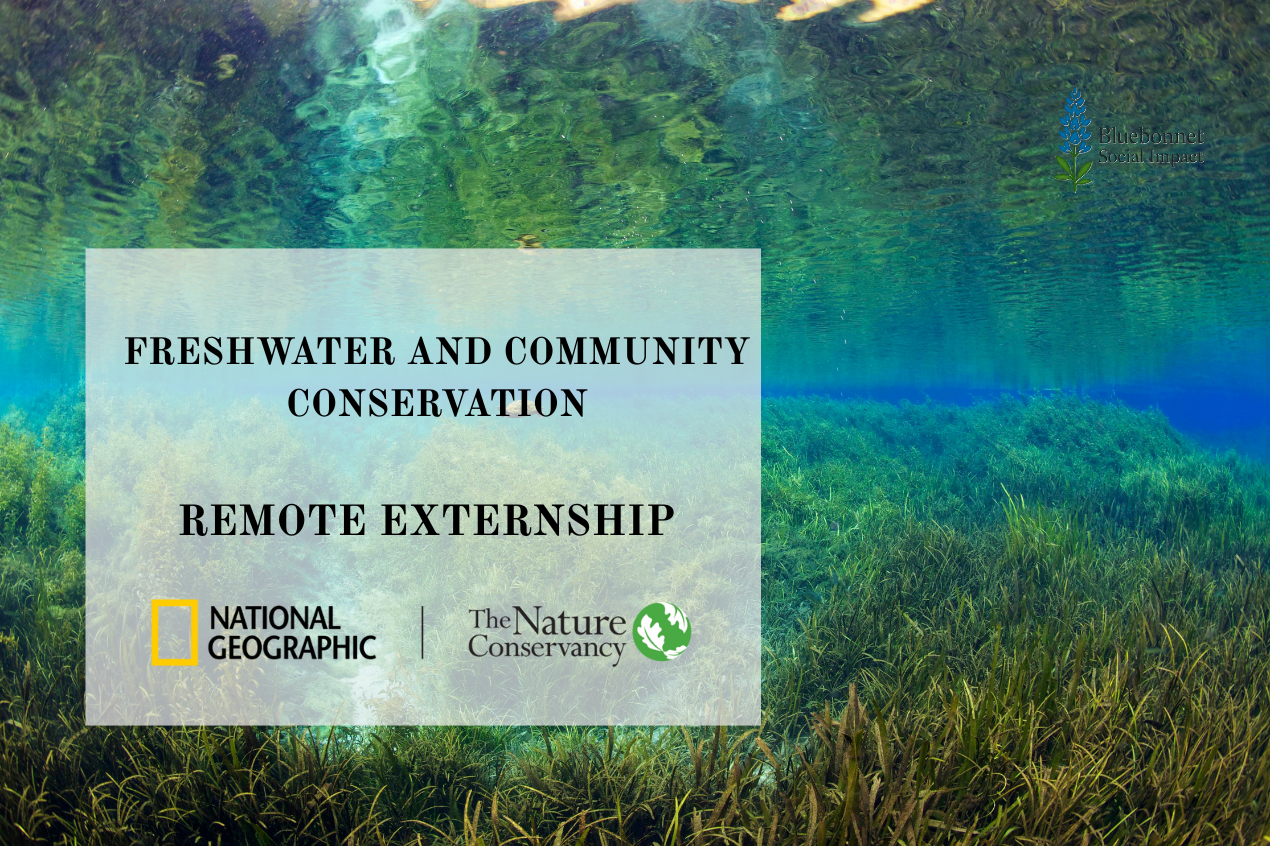 National Geographic နဲ့ အိမ်ကနေ လုပ်နိုင်မယ့် အလုပ်သင် (Externship) အခွင့်အရေး