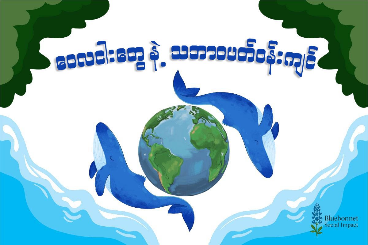 ဝေလငါးတွေနဲ့ သဘာဝပတ်ဝန်းကျင်
