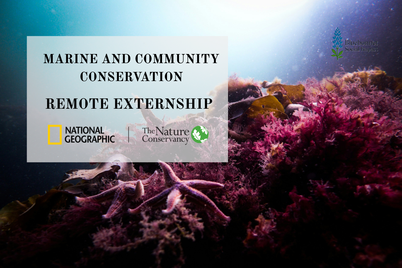 National Geographic Remote Externship Program